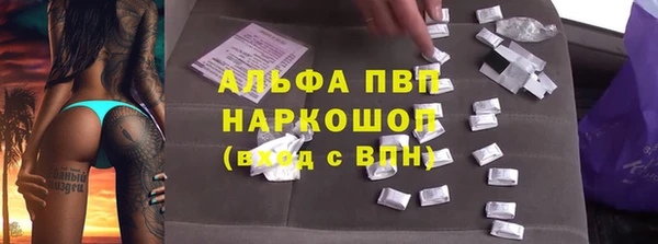 индика Мегион