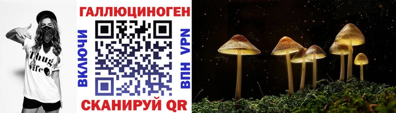 Купить закладки  Шилка  Псилоцибиновые грибы ЛСД 